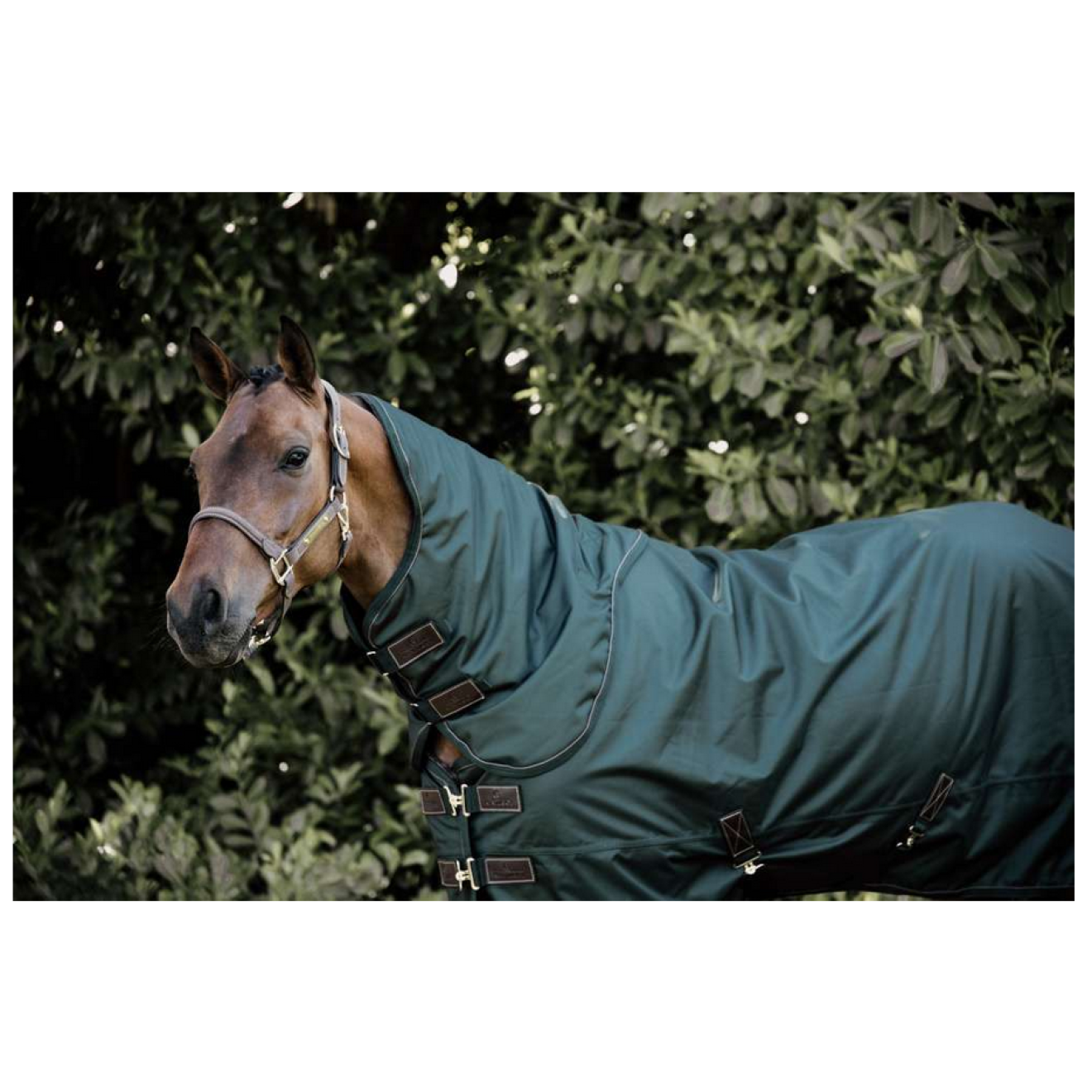Kentucky Horsewear Halsteil Neck All Weather HW20, 150g, Deckenzubehör, dark green