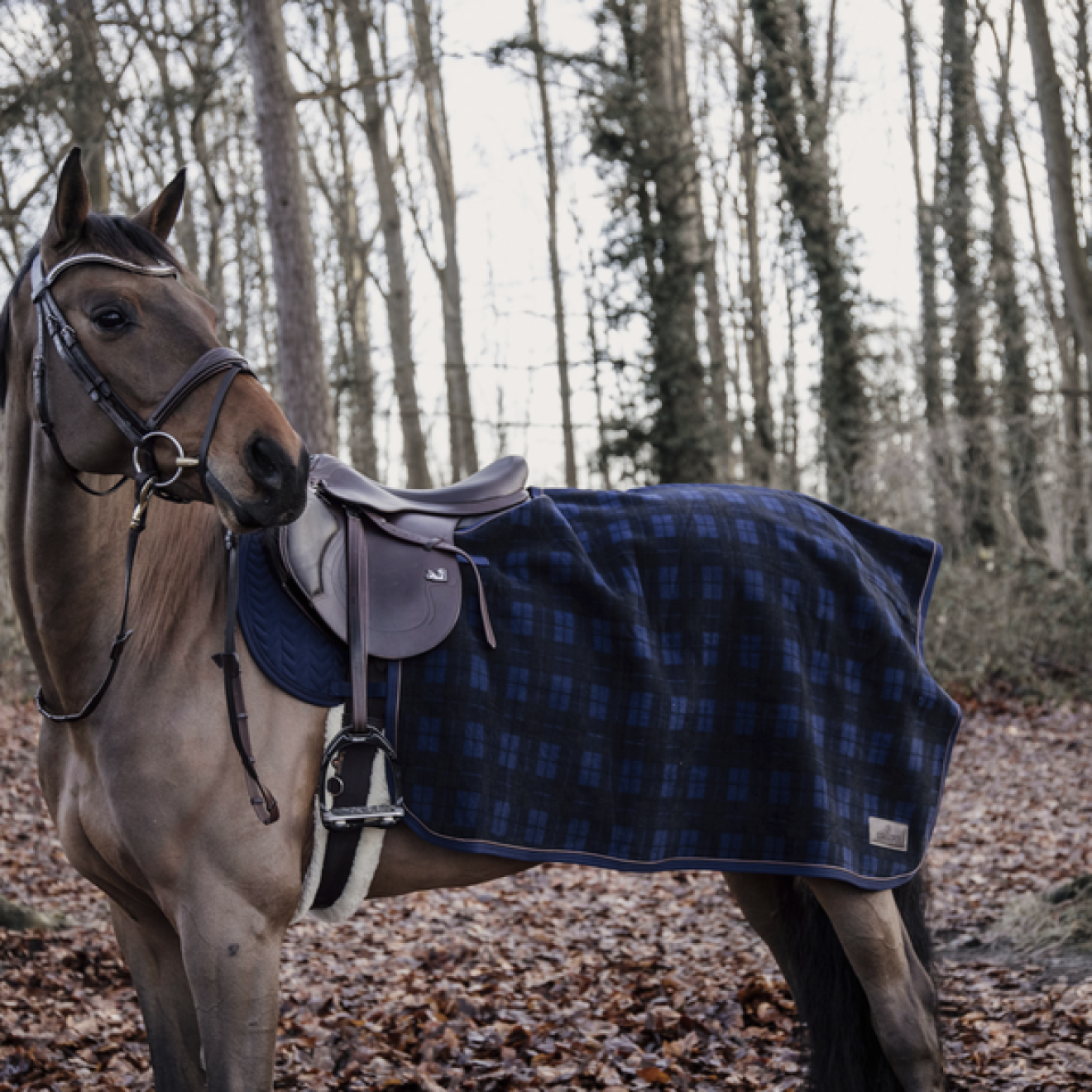 Kentucky Horsewear Ausreitdecke "Quarter Rug Heavy Fleece Limited Edition
