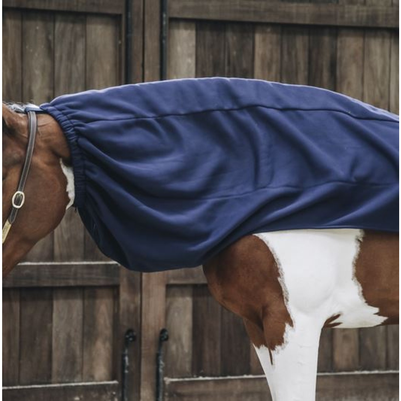 Halsdecke Cooler Fleece / Horse scarf navy