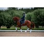Equestrian Stockholm Dressage/Jump Pad Midnight White edge