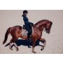 Equestrian Stockholm Dressage/Jump Schabracke Champagner