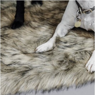Kentucky Hundebett Fuzzy Blanket To Go Large